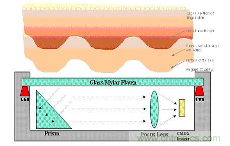 黑客竟能從手指照片複製指紋，指紋識別還安全嗎？