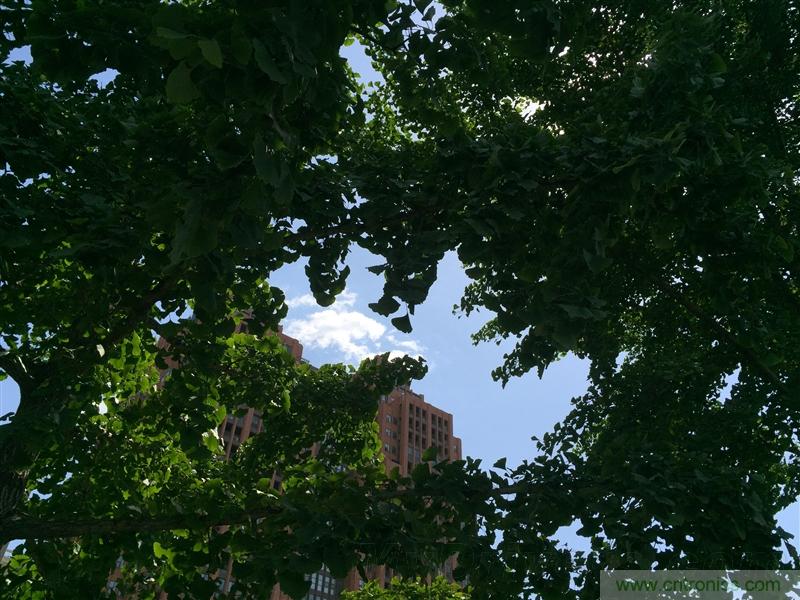 無邊框的 nubia Z9 ，一款既有驚喜，又有驚豔的智能手機