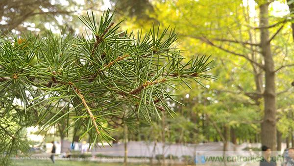 業界良心 LG V10 評測:剛毅、冷峻，不失人性化