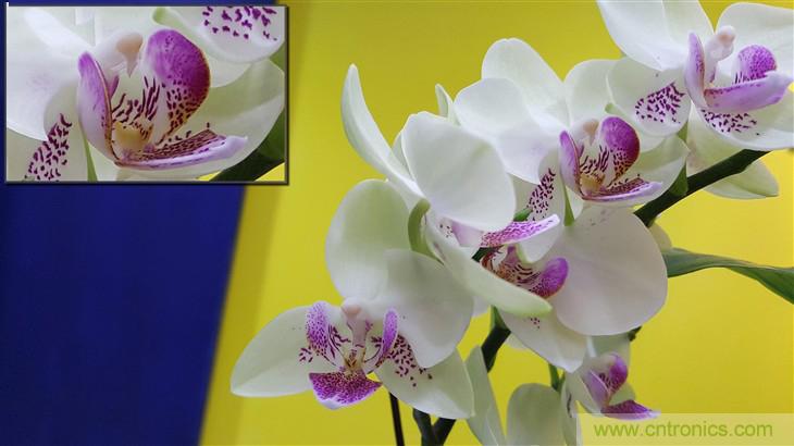 三星S6 edge+評測：擊退note 5，帶著雙曲屏卷土重來