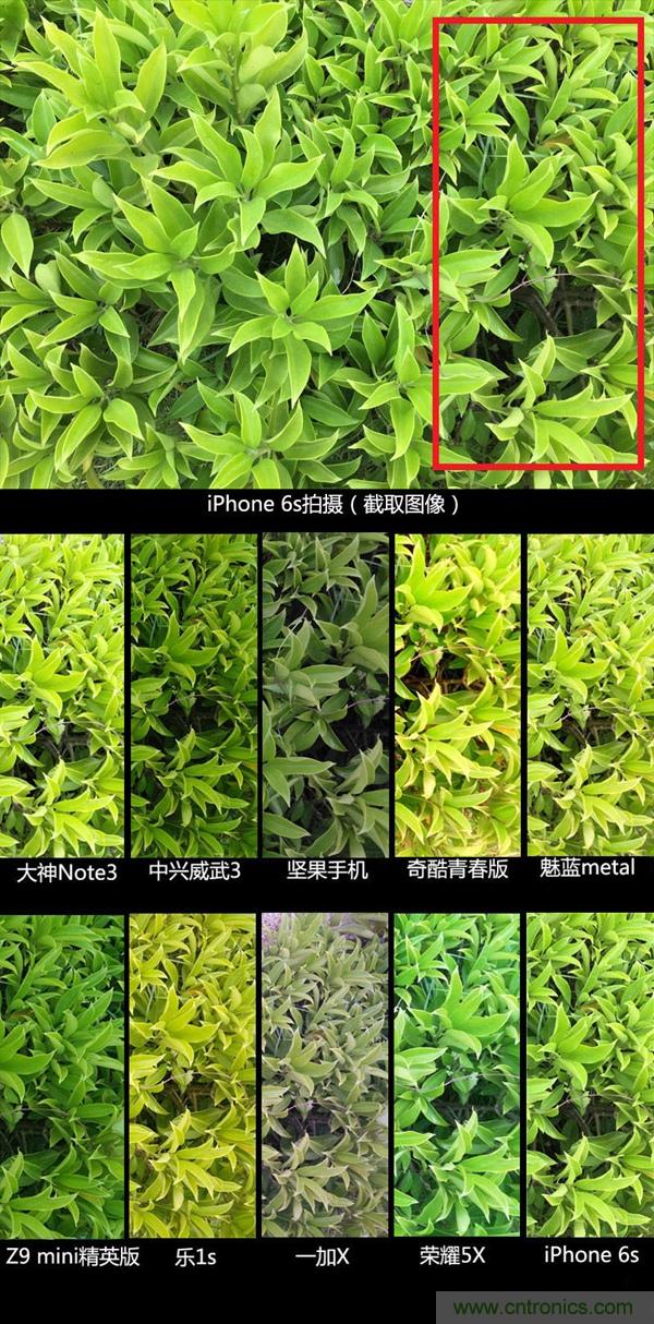 2015年9款千元智能手機橫評：誰才是紅海霸主？