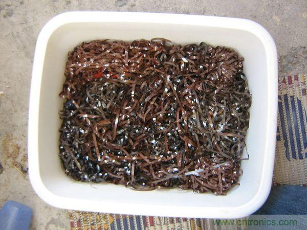 藝術源於生活，用生活中的物件也能製作磁流體