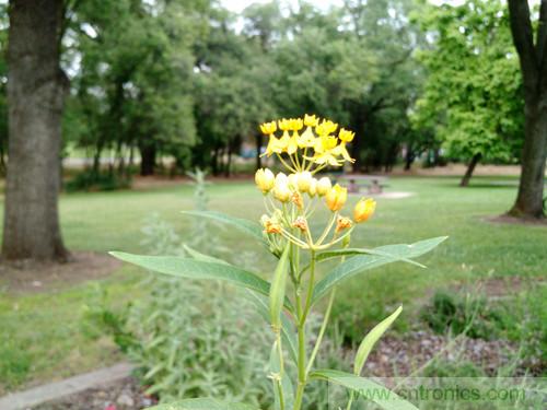 無數的拍攝，隻為成就一個完美回憶