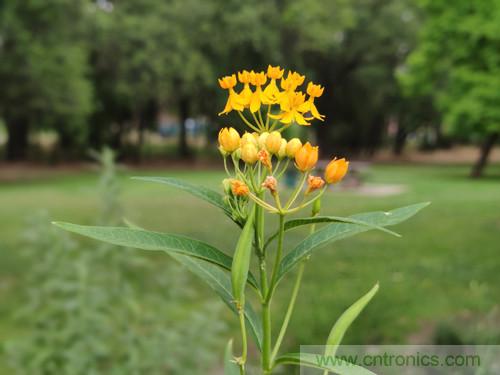 無數的拍攝，隻為成就一個完美回憶