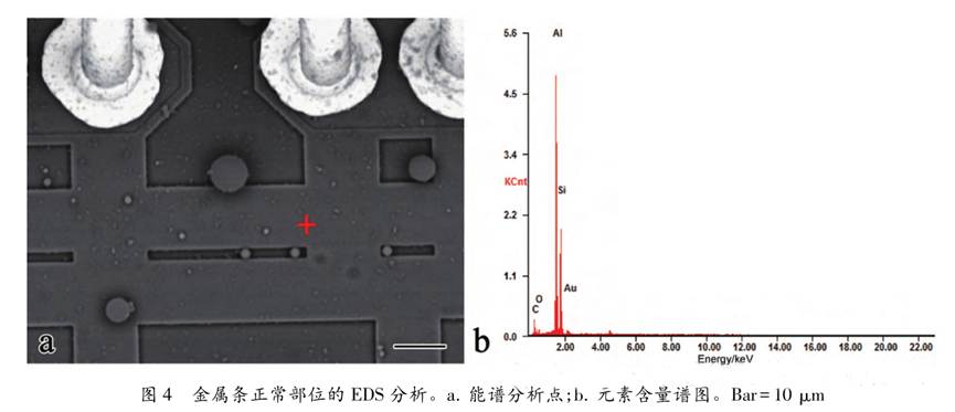 超聲波清洗暗藏"芯片密碼":二氧化矽顆粒撞擊機理揭秘 超聲波清洗暗藏"芯片密碼":二氧化矽顆粒撞擊機理揭秘