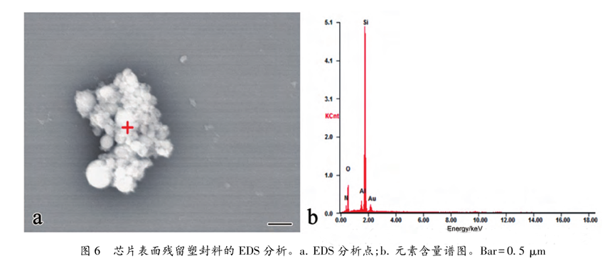 超聲波清洗暗藏"芯片密碼":二氧化矽顆粒撞擊機理揭秘 超聲波清洗暗藏"芯片密碼":二氧化矽顆粒撞擊機理揭秘